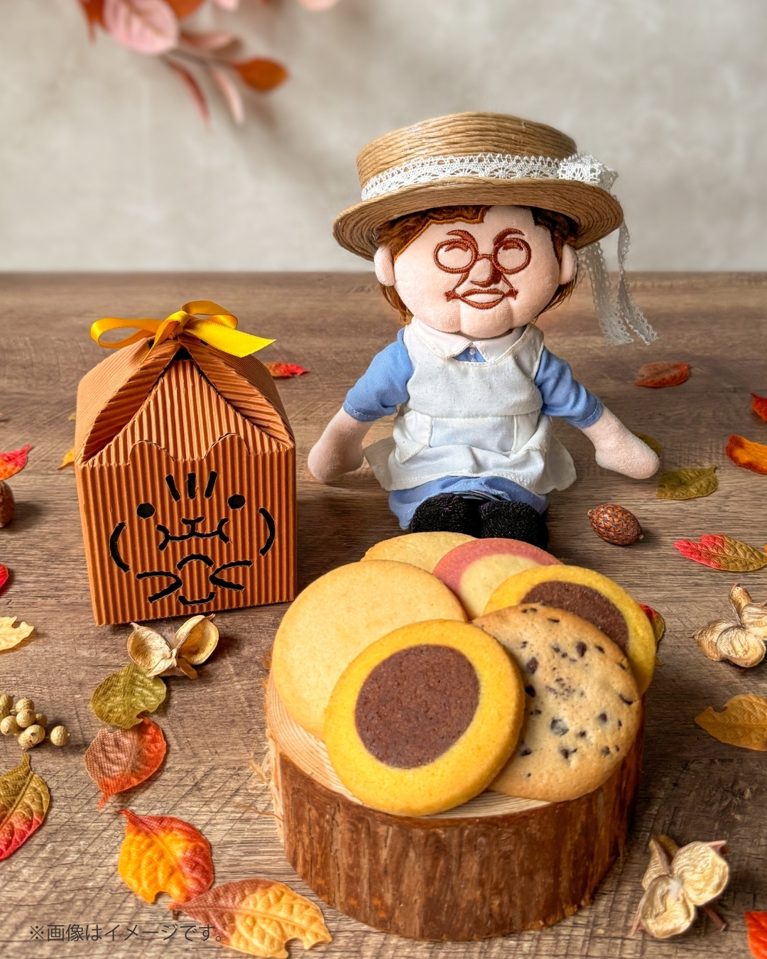 9月・10月限定】リステントボックス | ショップニュース | ステラ