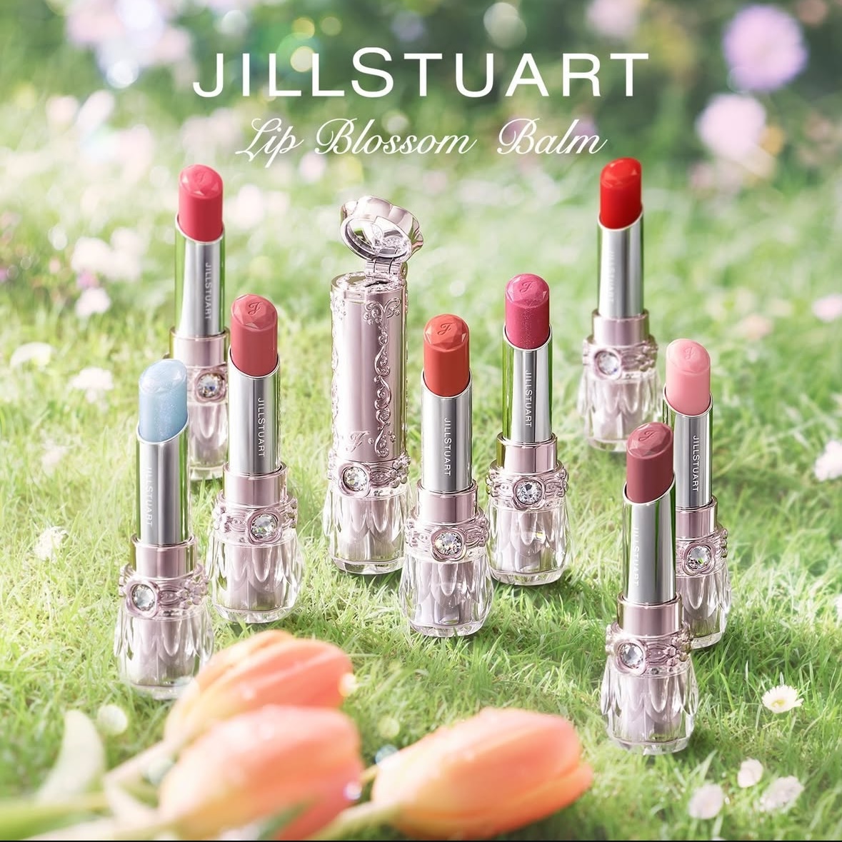 JILL STUART 新商品・限定品