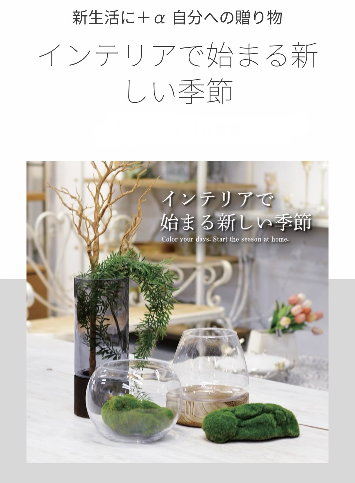 インテリアで始まる新しい季節