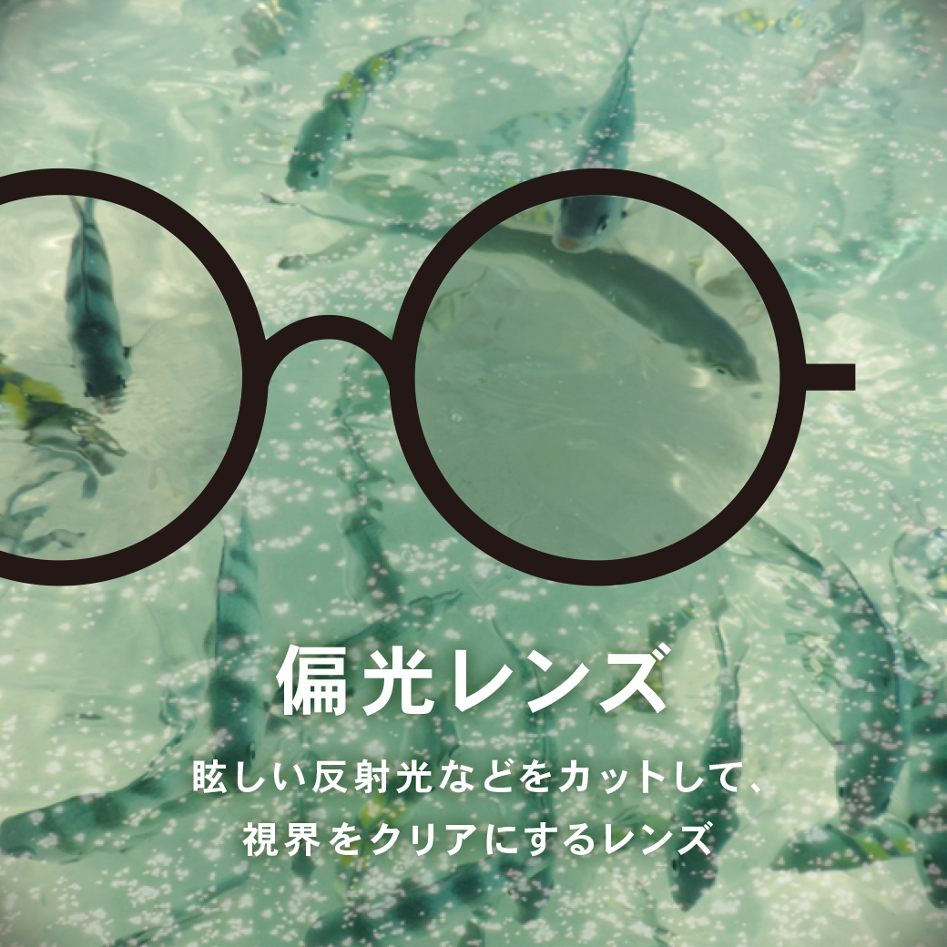 お勧め商品紹介