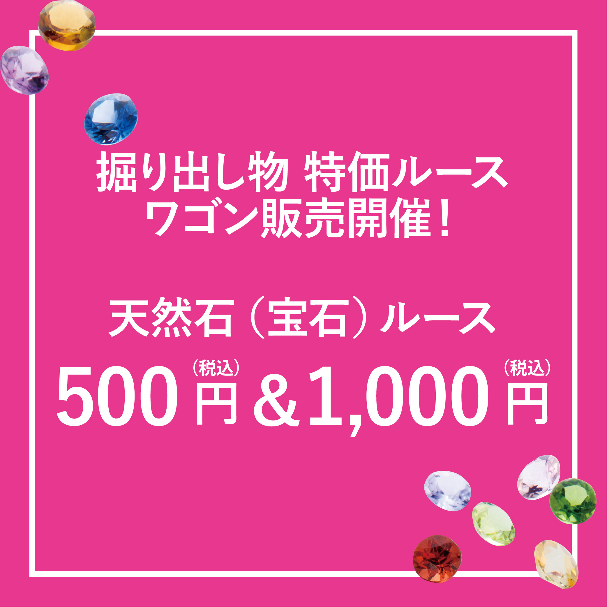 ミネラルルース ワゴン市 開催