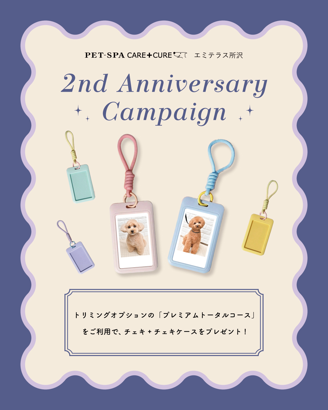 PET-SPA2周年キャンペーン