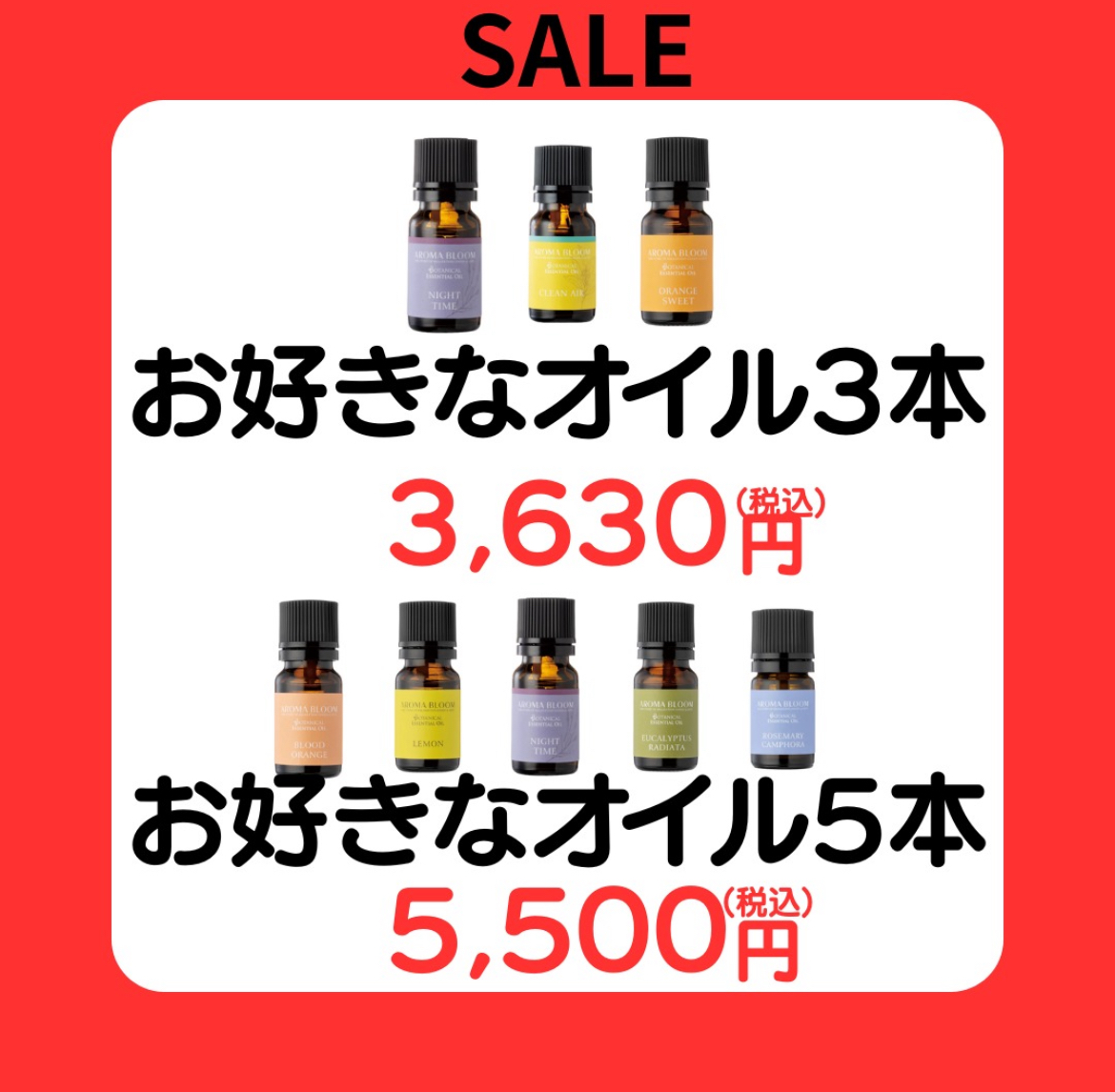 サマーセール開催中