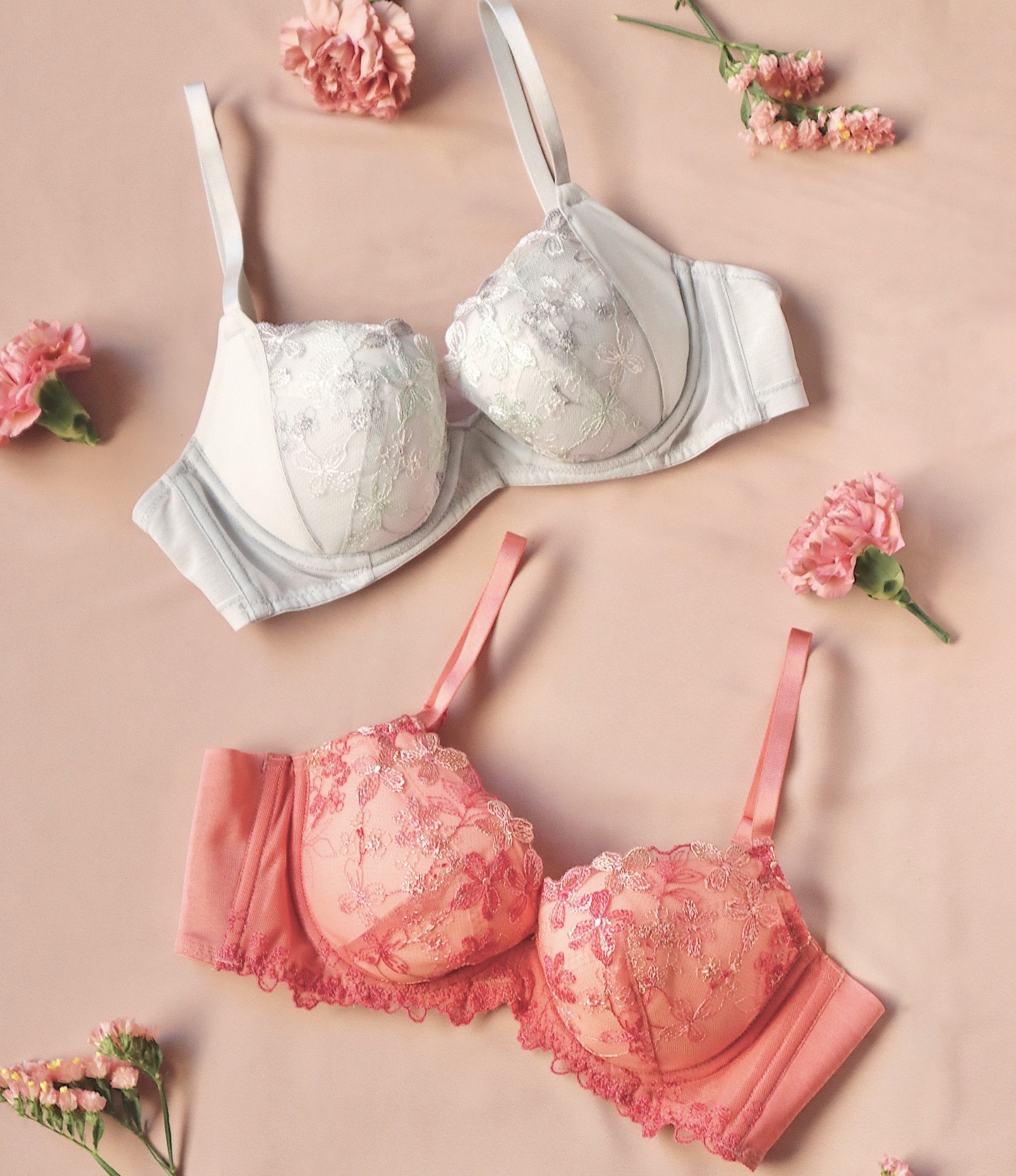 定番シリーズに新色登場！