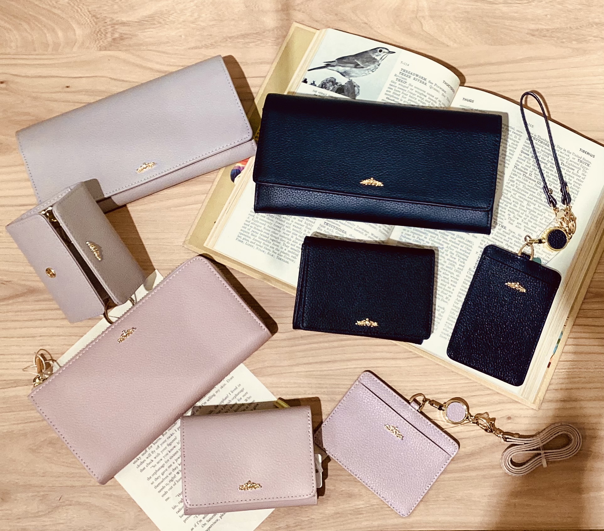 【季節のおすすめ】レザーシリーズ