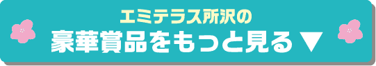 エミテラス所沢の豪華景品をもっと見る