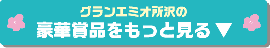 グランエミオ所沢の豪華景品をもっと見る
